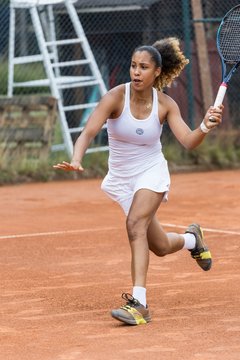 Bild 444 - TVSH Cup